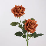 Echte Rosenstiel – 63,5 cm