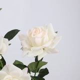 Echte Rosenstiel – 63,5 cm