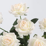 Echte Rosenstiel – 63,5 cm