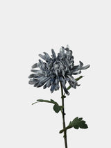 Real Touch Spider Chrysanthemum Flower Stem – 31"/80cm