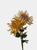 Real Touch Spider Chrysanthemum Flower Stem – 31"/80cm