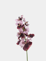 Real Touch Vanda Orchid Stem – 34"