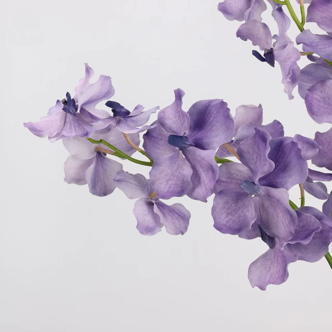 Real Touch Vanda Orchid Stem – 34"