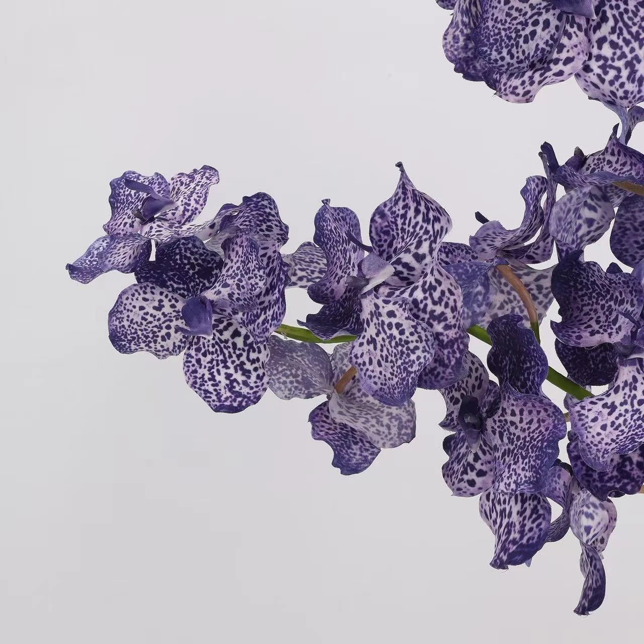 Real Touch Vanda Orchid Stem – 34"