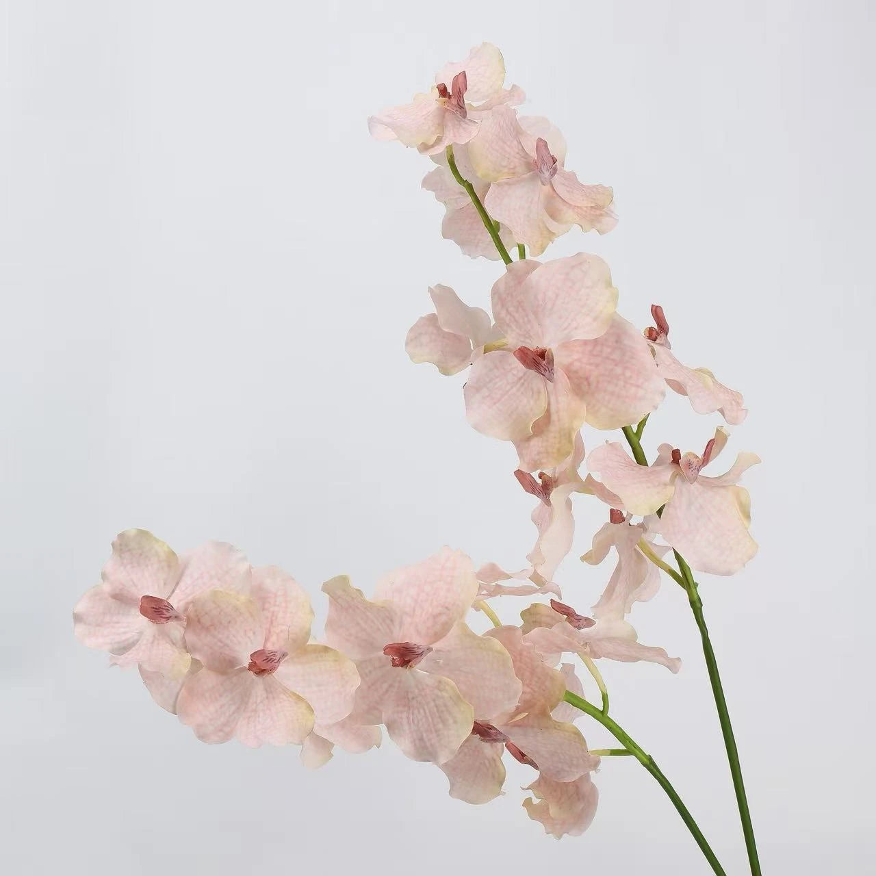 Real Touch Vanda Orchid Stem – 34"