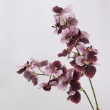 Real Touch Vanda Orchid Stem – 34"