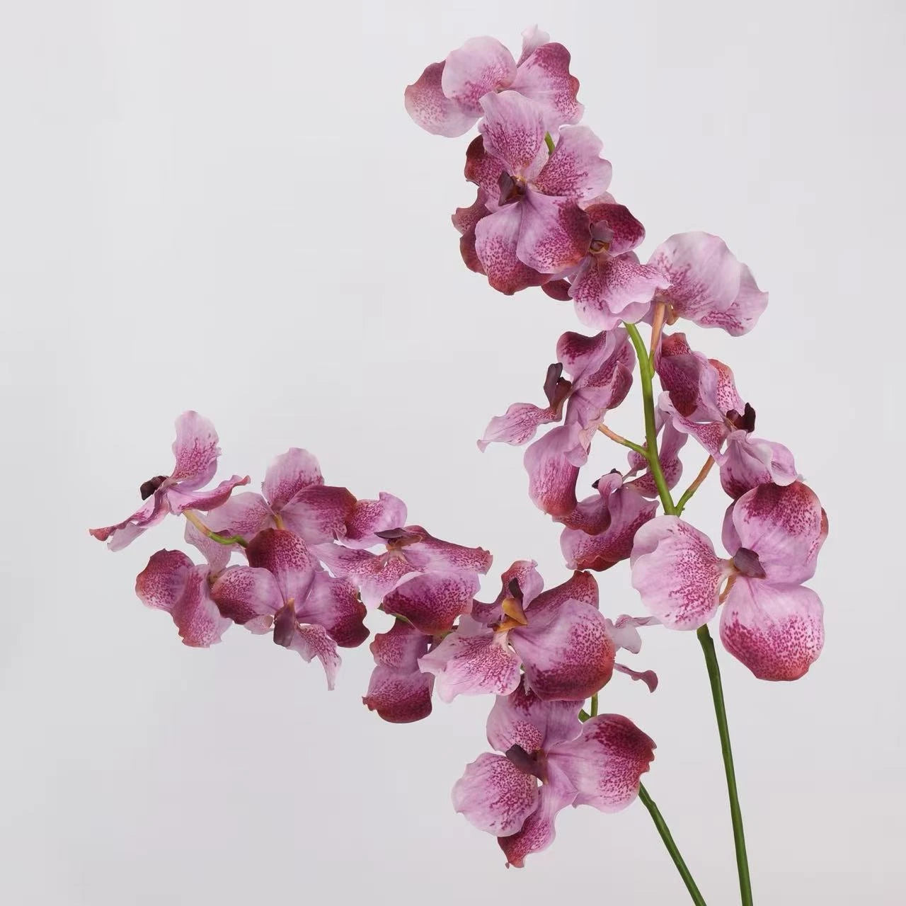 Real Touch Vanda Orchid Stem – 34"