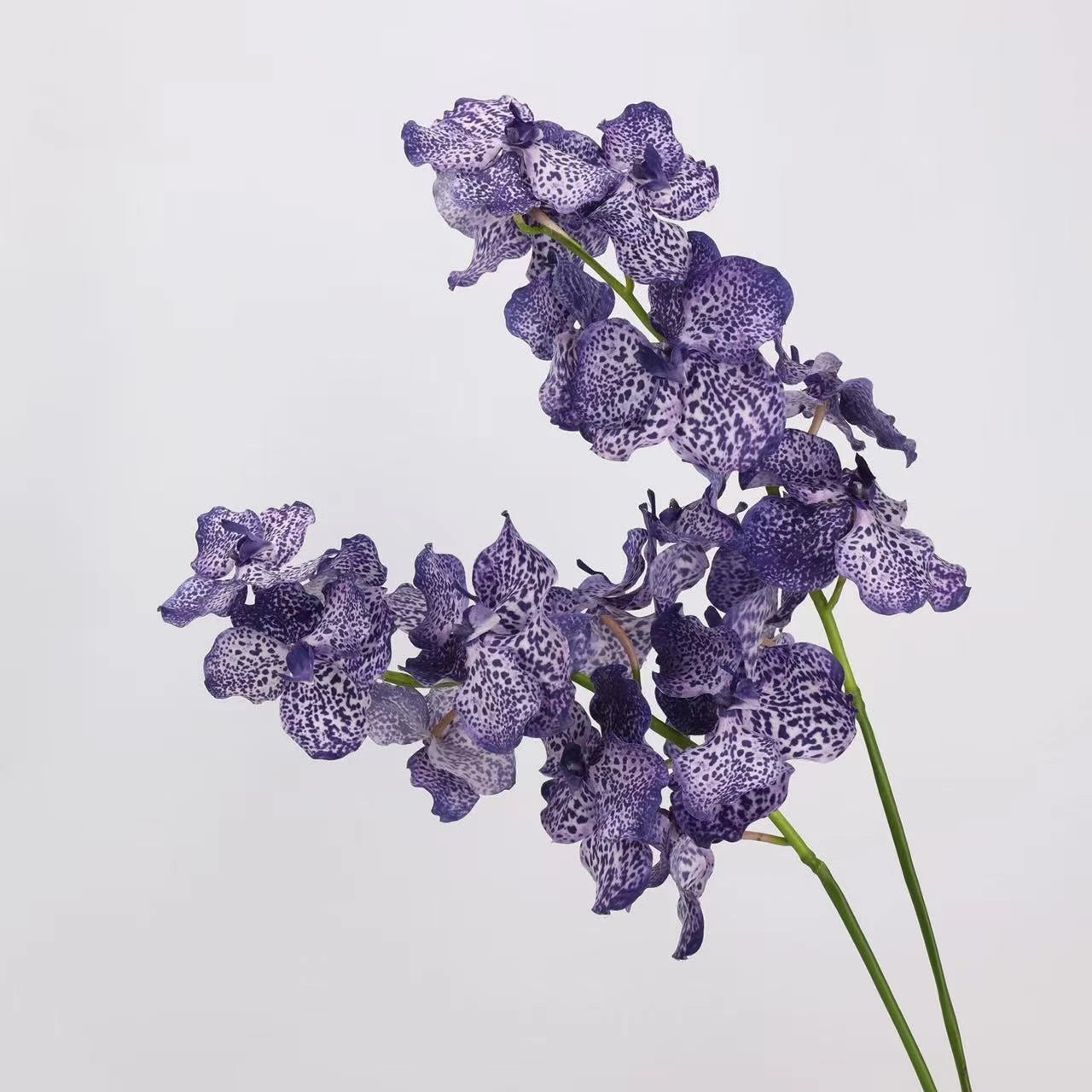 Real Touch Vanda Orchid Stem – 34"