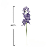 Real Touch Vanda Orchid Stem – 34"