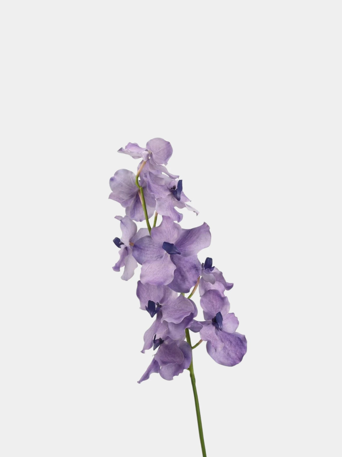 Real Touch Vanda Orchid Stem – 34"