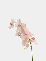 Real Touch Vanda Orchid Stem – 34"