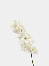 Real Touch Vanda Orchid Stem – 34"