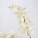 Real Touch Vanda Orchid Stem – 34"