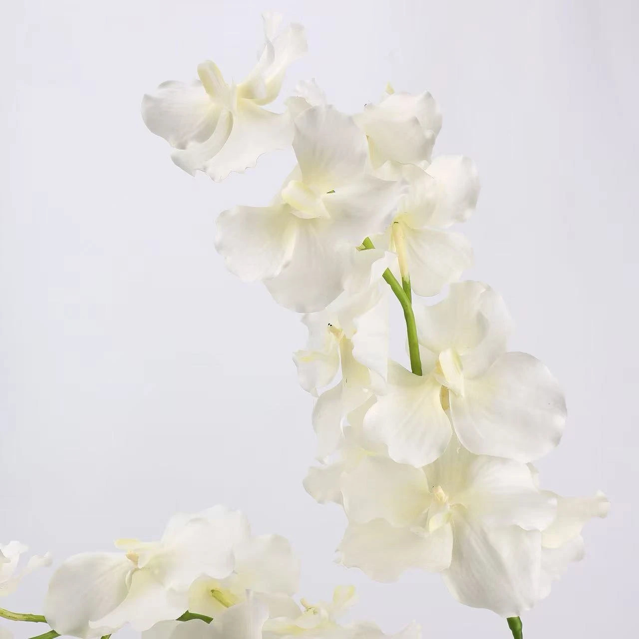 Real Touch Vanda Orchid Stem – 34"