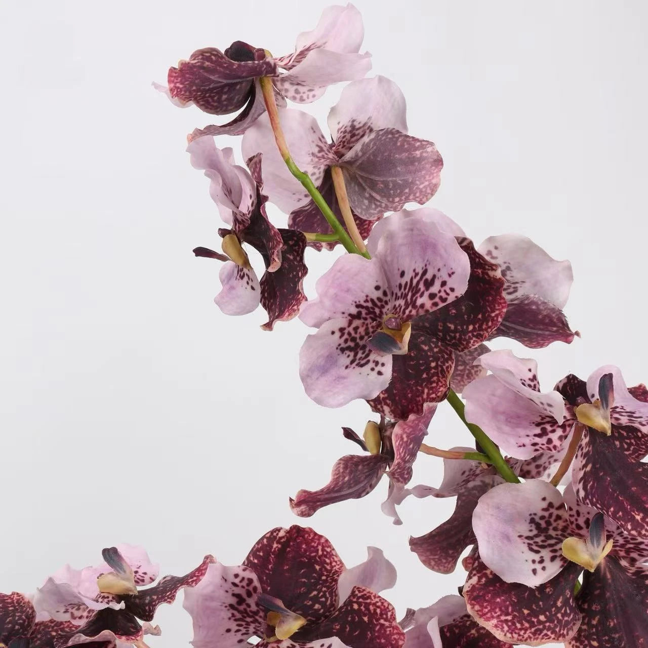 Real Touch Vanda Orchid Stem – 34"