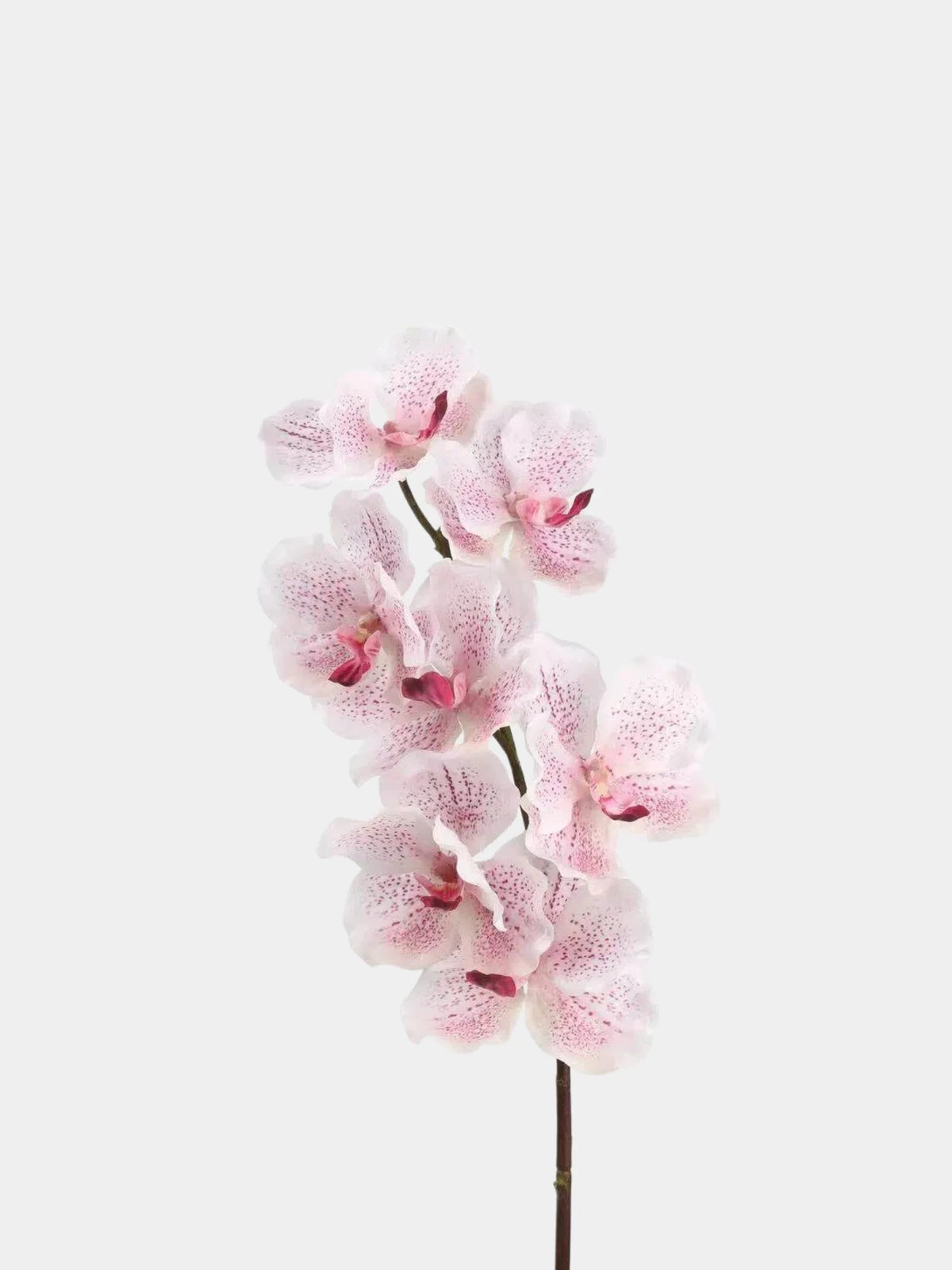 Real Touch Vanda Orchidee –Rosa 81 cm
