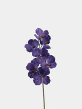Echte Vanda-Orchidee – Dunkelviolett 81 cm