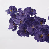 Echte Vanda-Orchidee – Dunkelviolett 81 cm