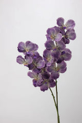 Echte Vanda-Orchidee – Dunkelviolett 81 cm