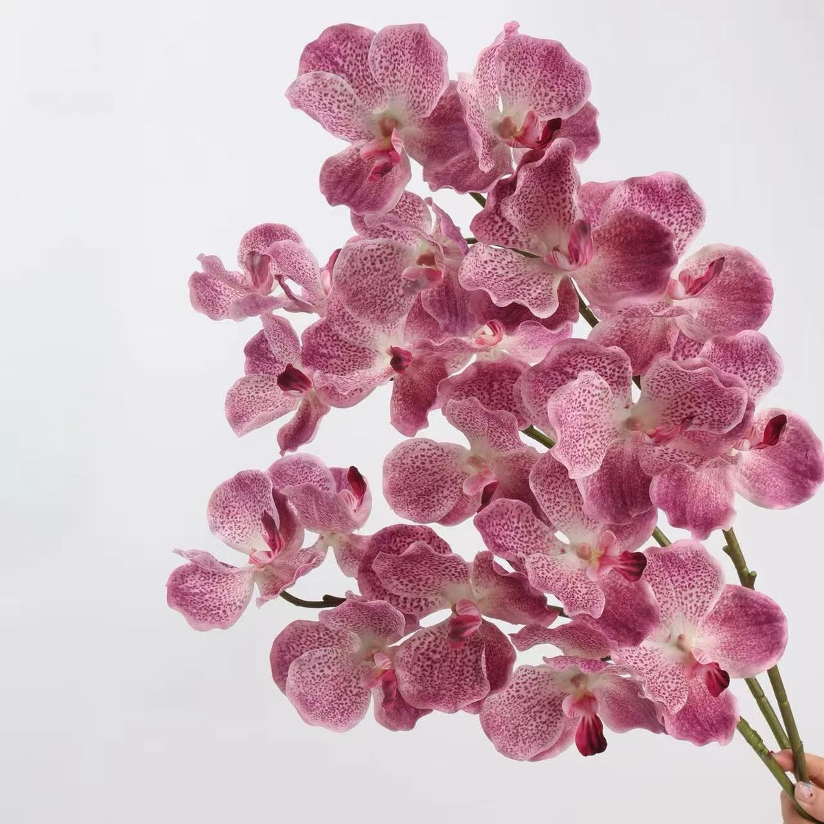 Real Touch Vanda Orchidee –Rosa 81 cm