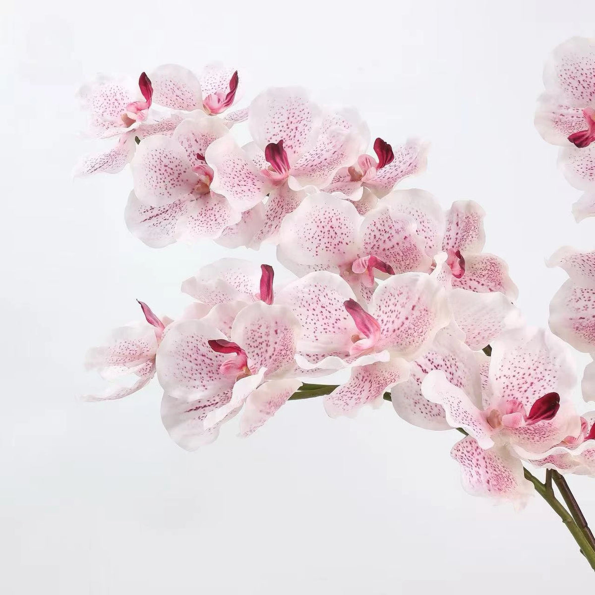Real Touch Vanda Orchidee –Rosa 81 cm