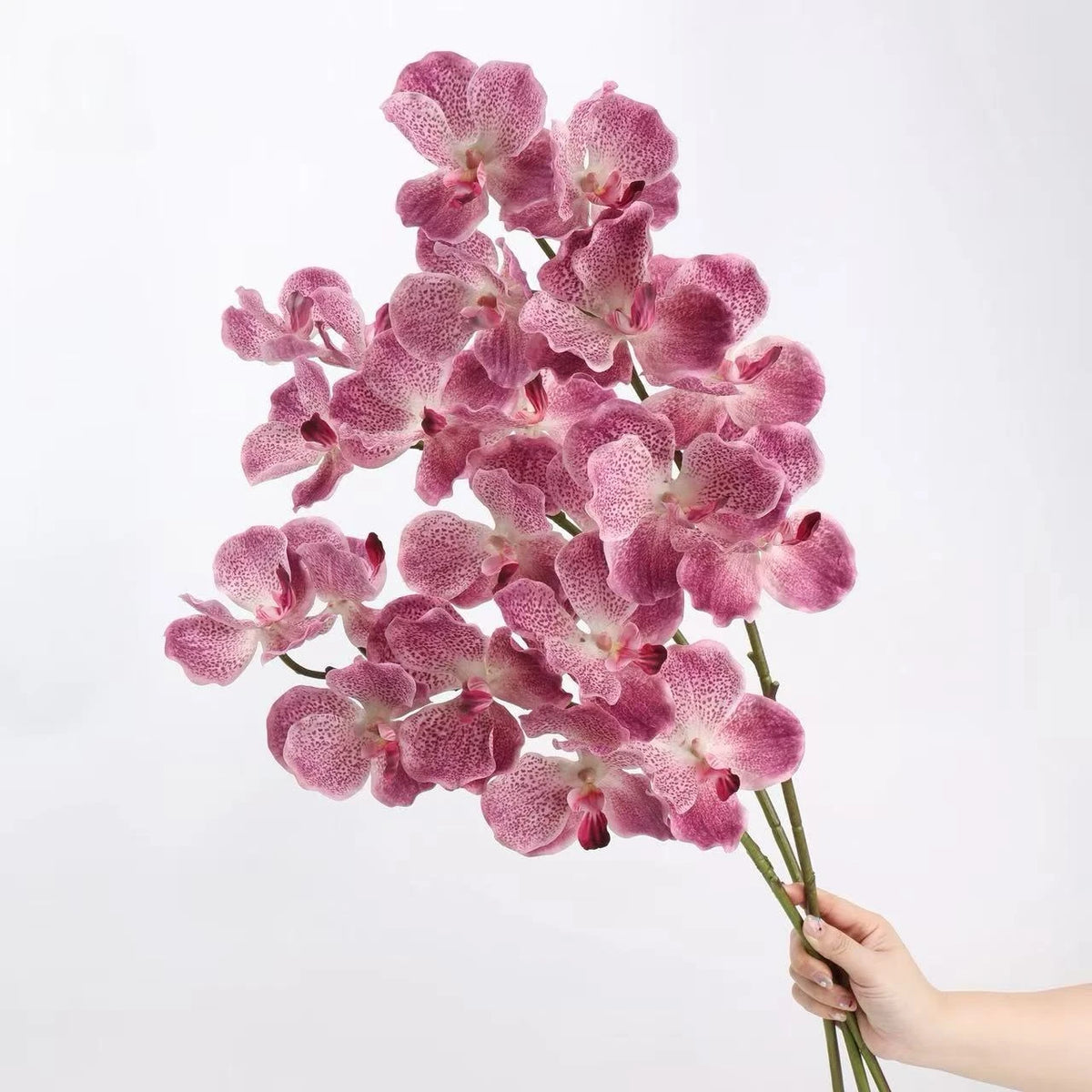 Real Touch Vanda Orchidee –Rosa 81 cm
