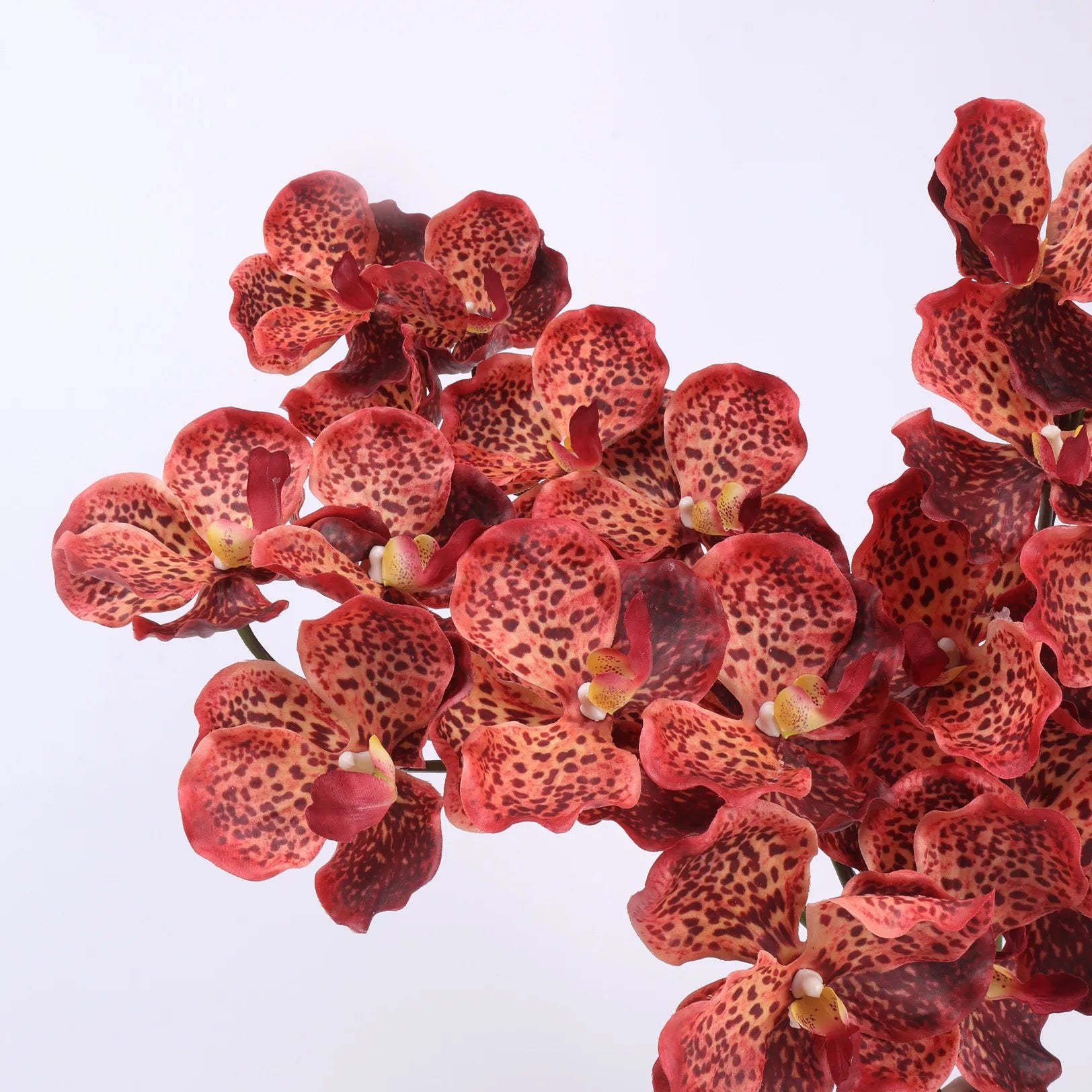 Real Touch Vanda Orchid –Coral 32"