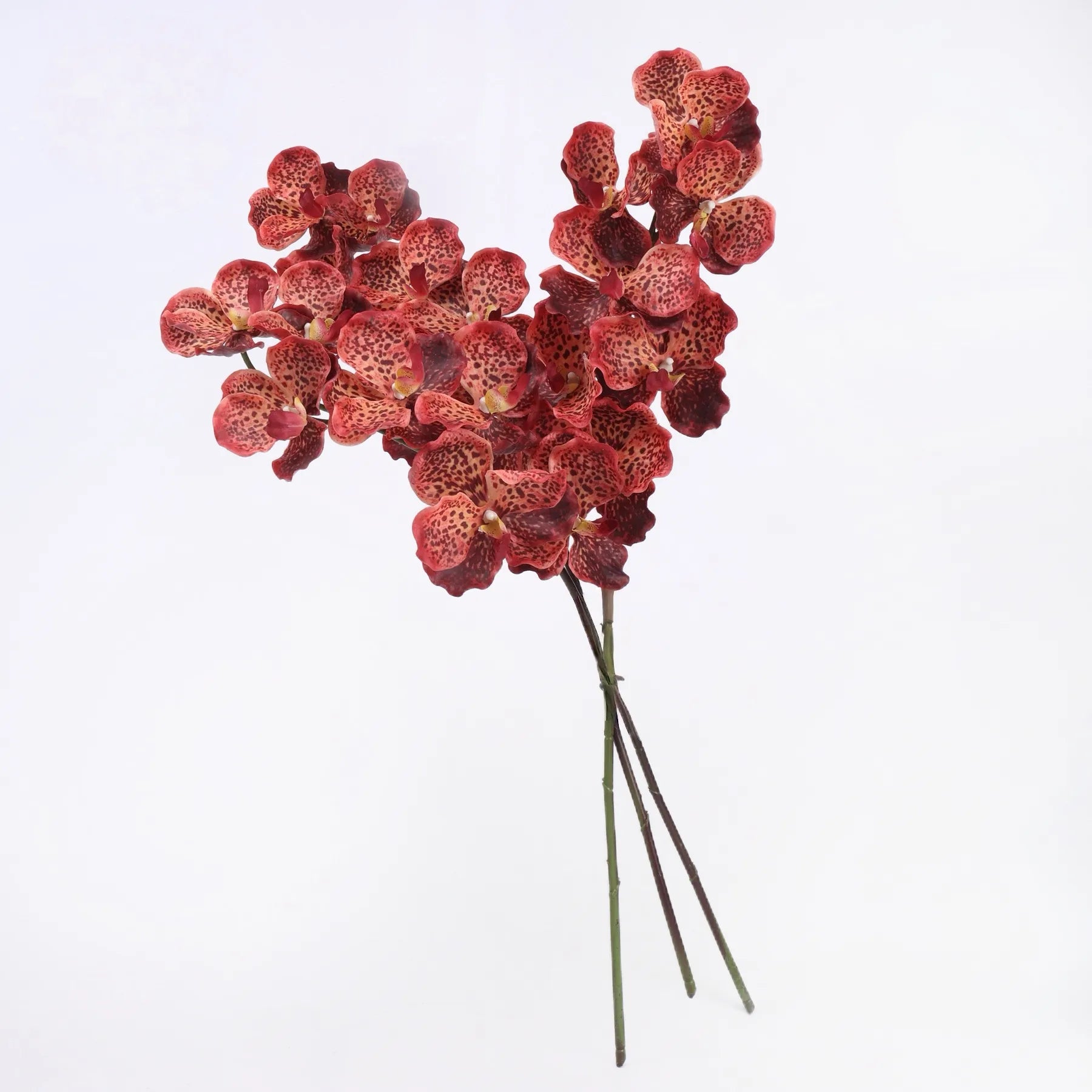 Real Touch Vanda Orchid –Coral 32"
