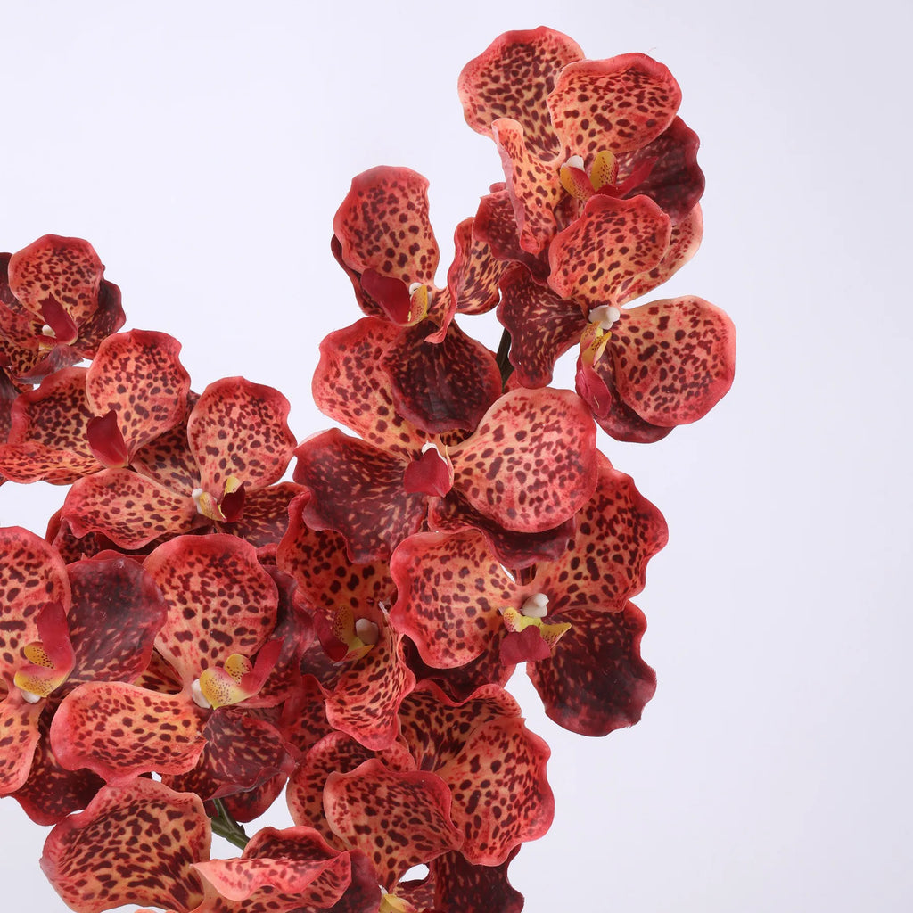 Real Touch Vanda Orchid –Coral 32"