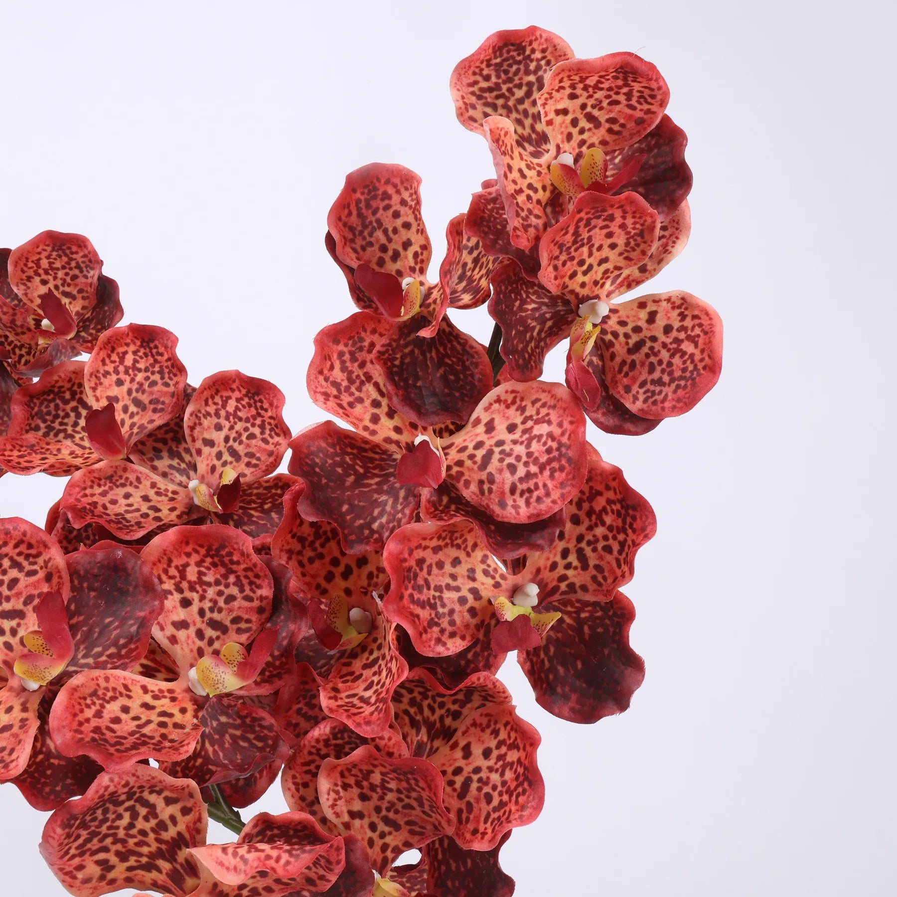 Real Touch Vanda Orchid –Coral 32"