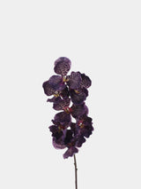 Echte Vanda-Orchidee – Dunkelviolett 81 cm