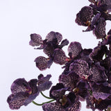 Echte Vanda-Orchidee – Dunkelviolett 81 cm