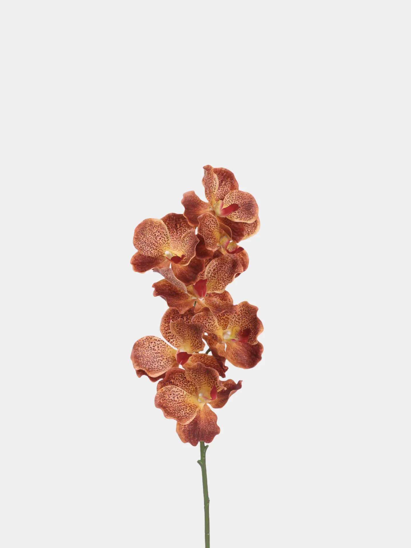 Real Touch Vanda Orchid –Orange 32"