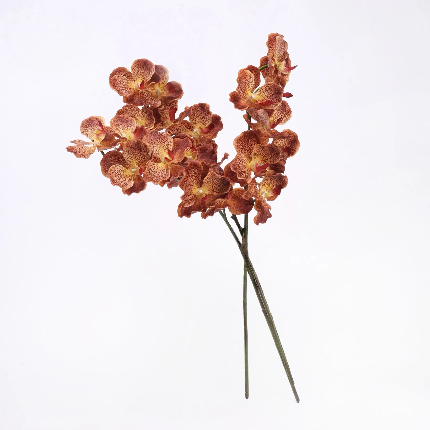 Real Touch Vanda Orchid –Orange 32"