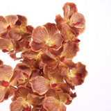 リアルタッチ バンダオーキッド – オレンジ 32"