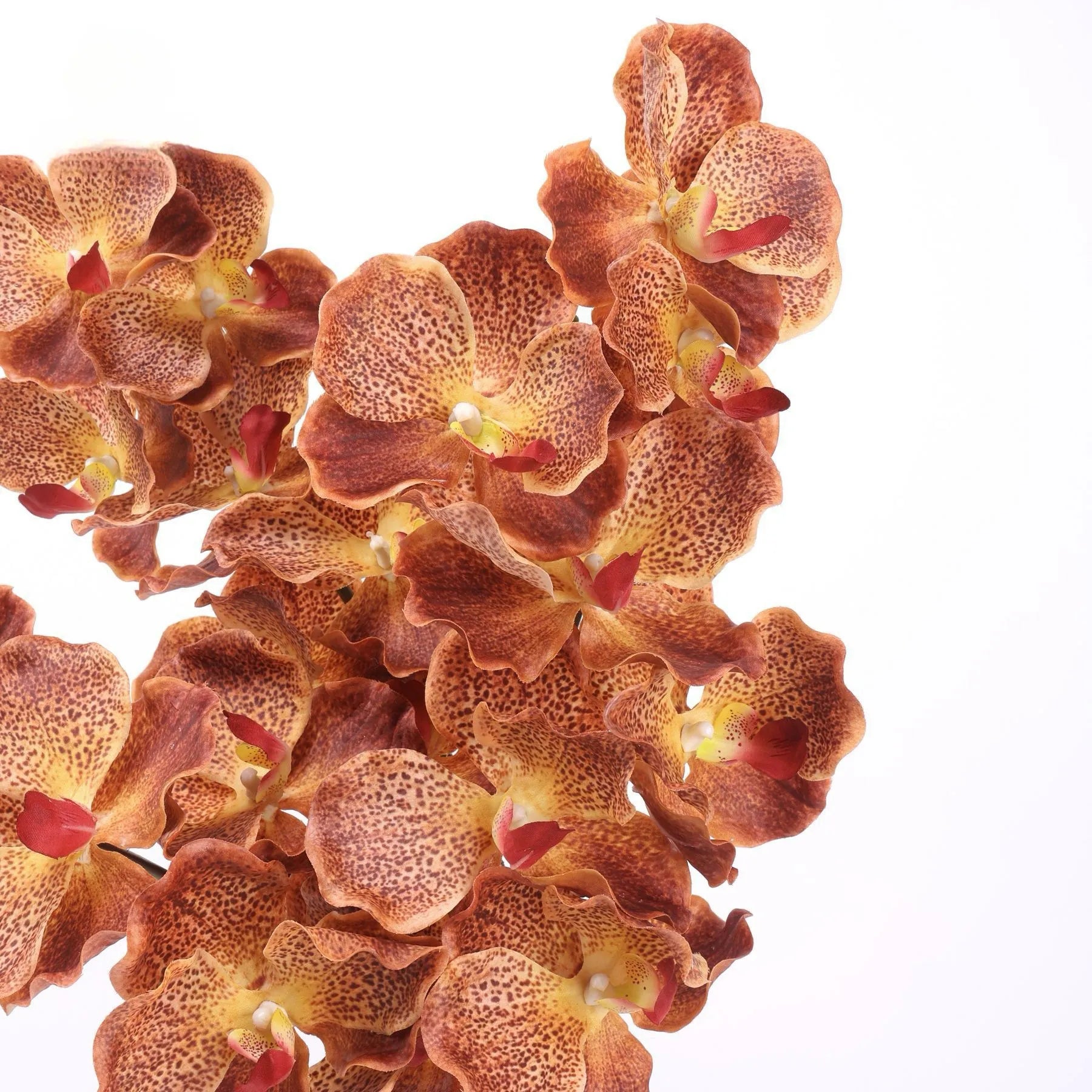 Real Touch Vanda Orchid –Orange 32"