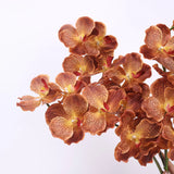 リアルタッチ バンダオーキッド – オレンジ 32"