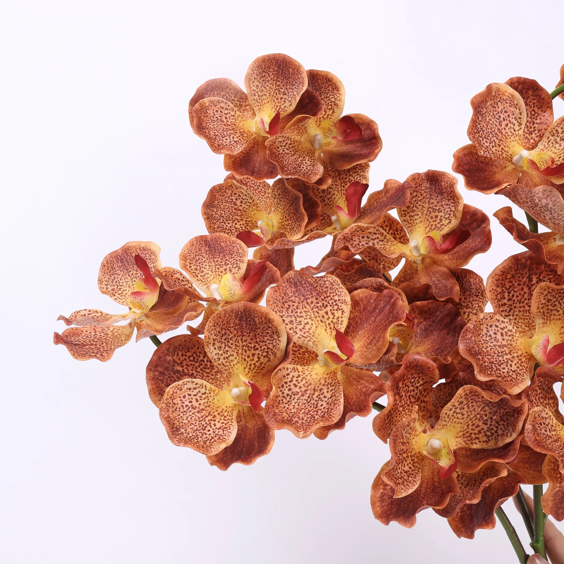 Real Touch Vanda Orchid –Orange 32"