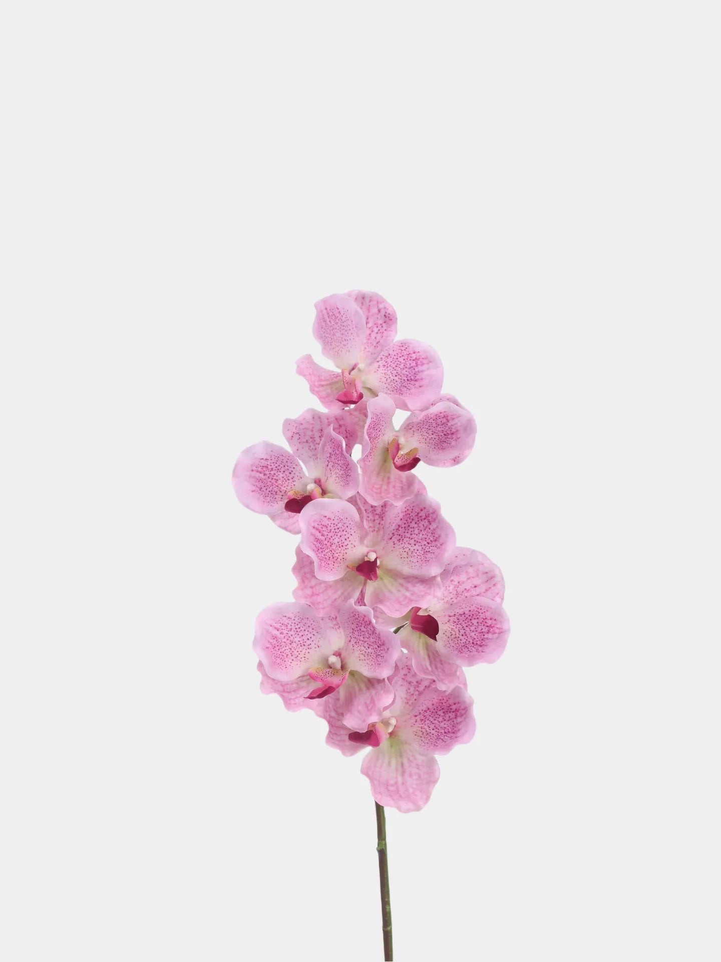 Real Touch Vanda Orchidee –Rosa 81 cm