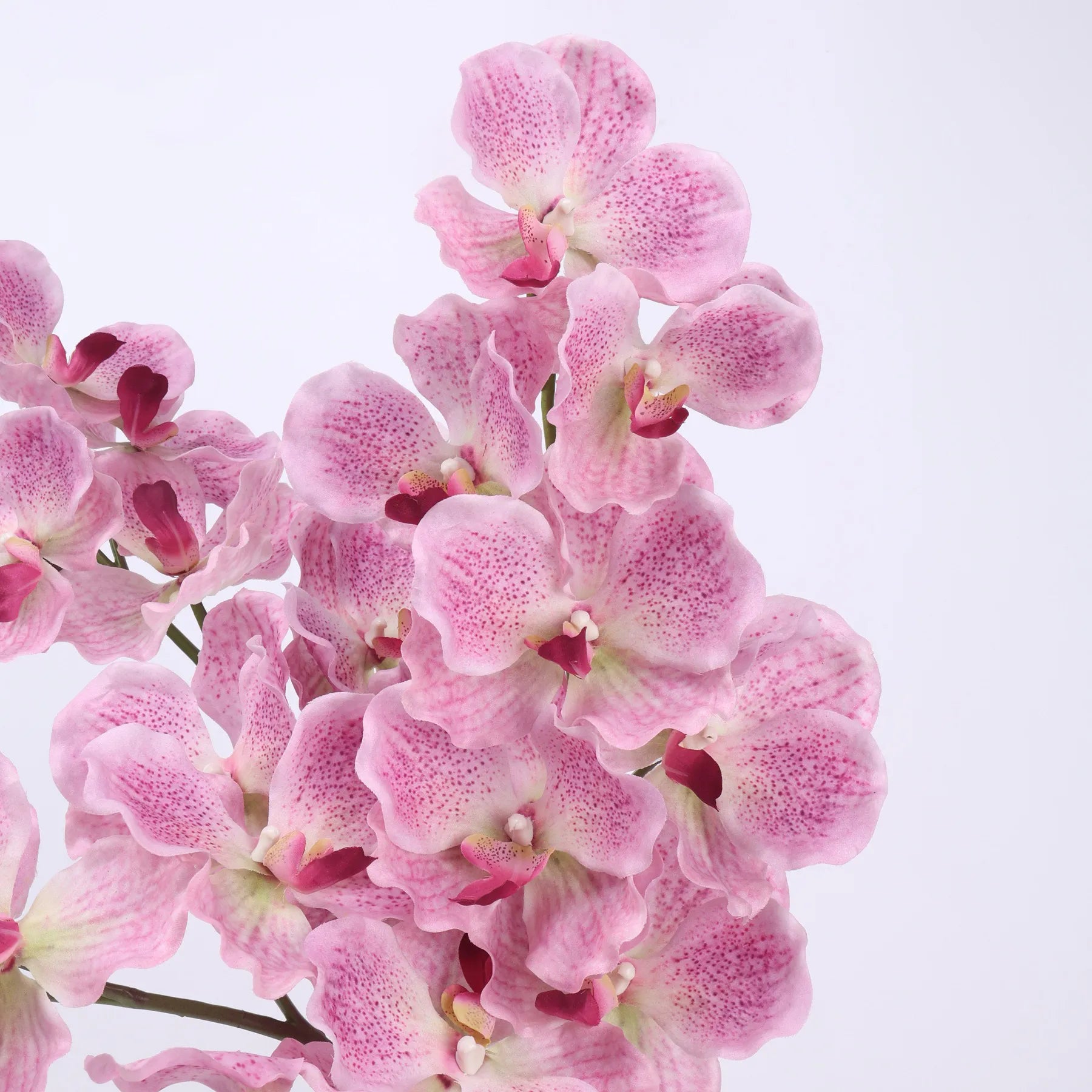Real Touch Vanda Orchidee –Rosa 81 cm