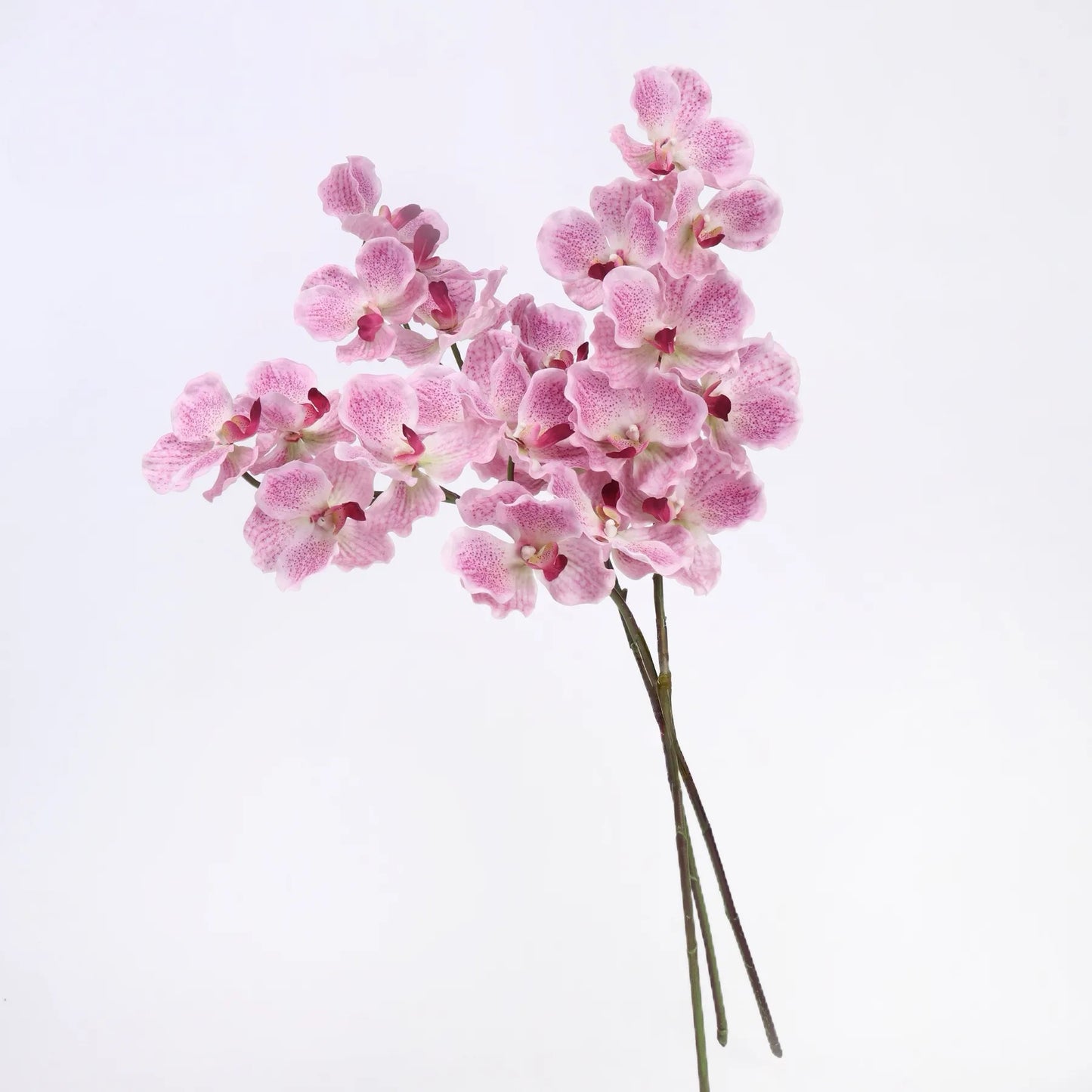 Real Touch Vanda Orchidee –Rosa 81 cm