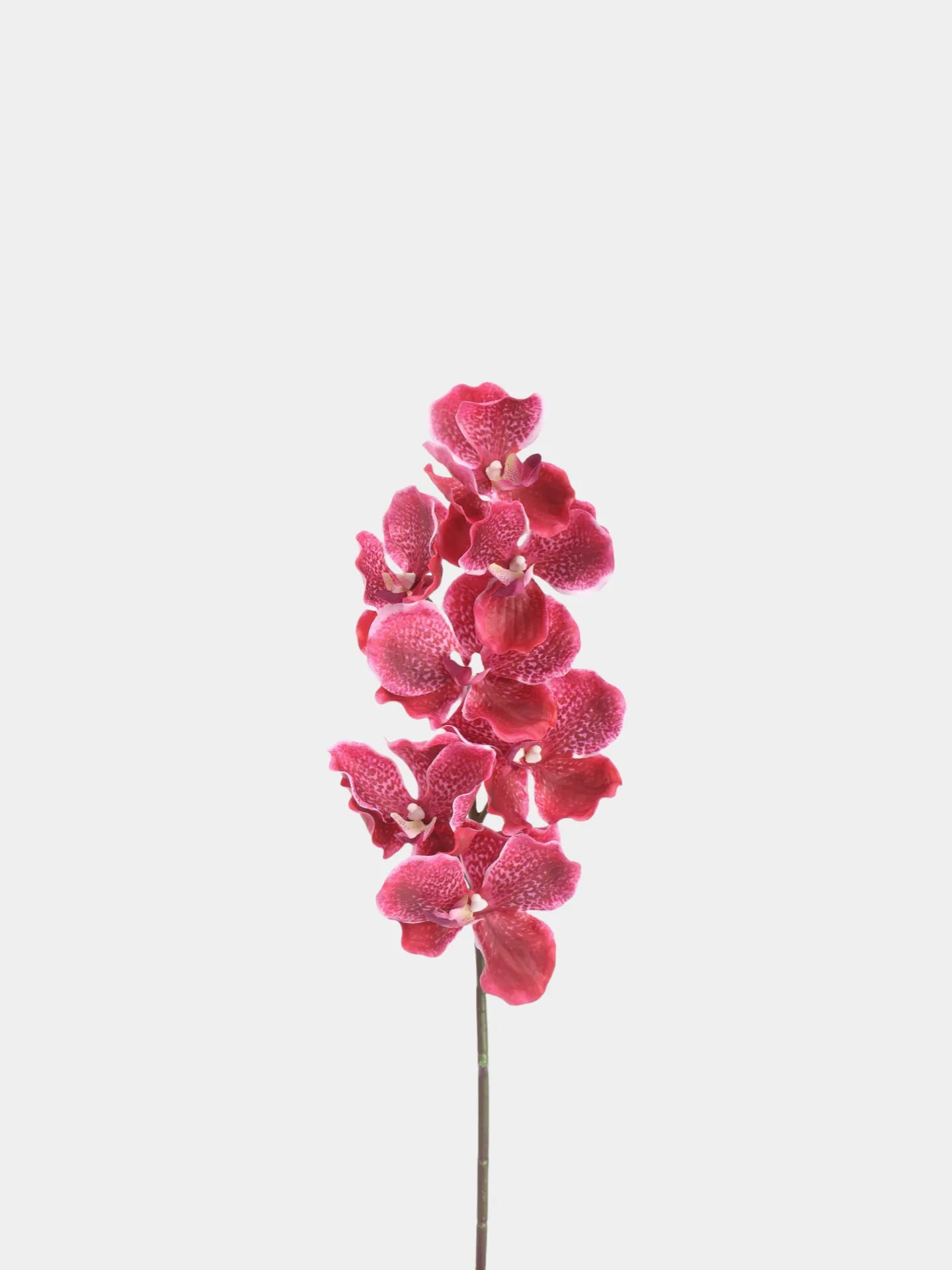 Real Touch Vanda Orchid –Rose Red 32"