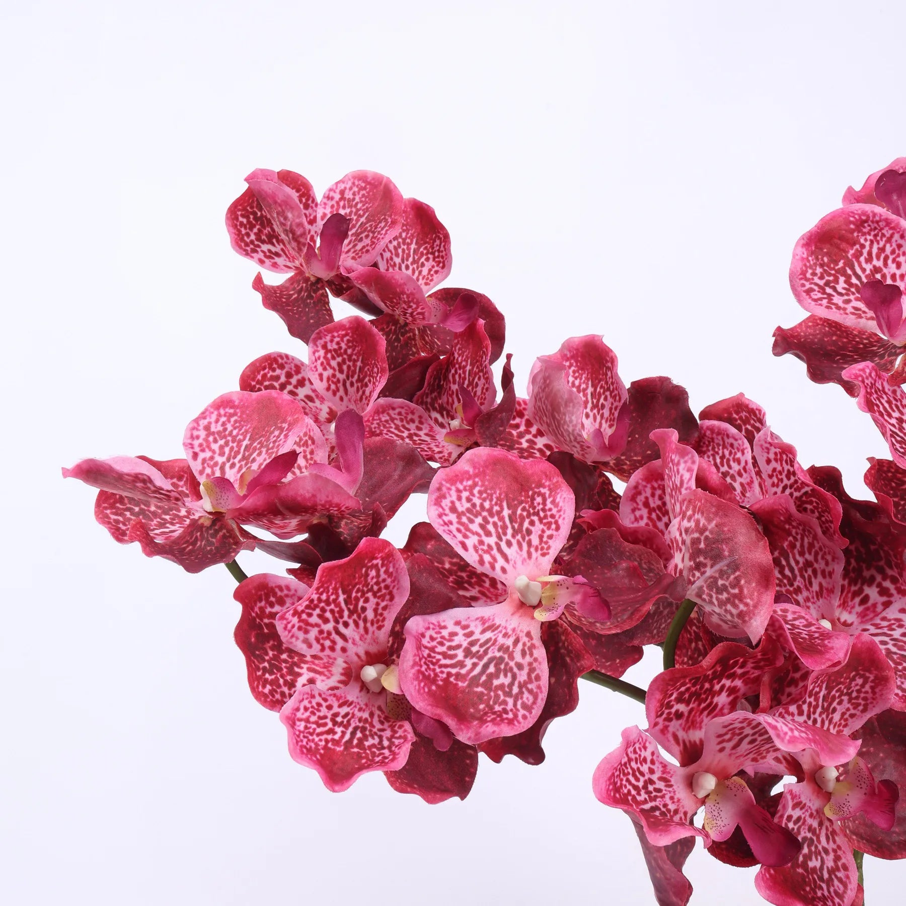Real Touch Vanda Orchid –Rose Red 32"