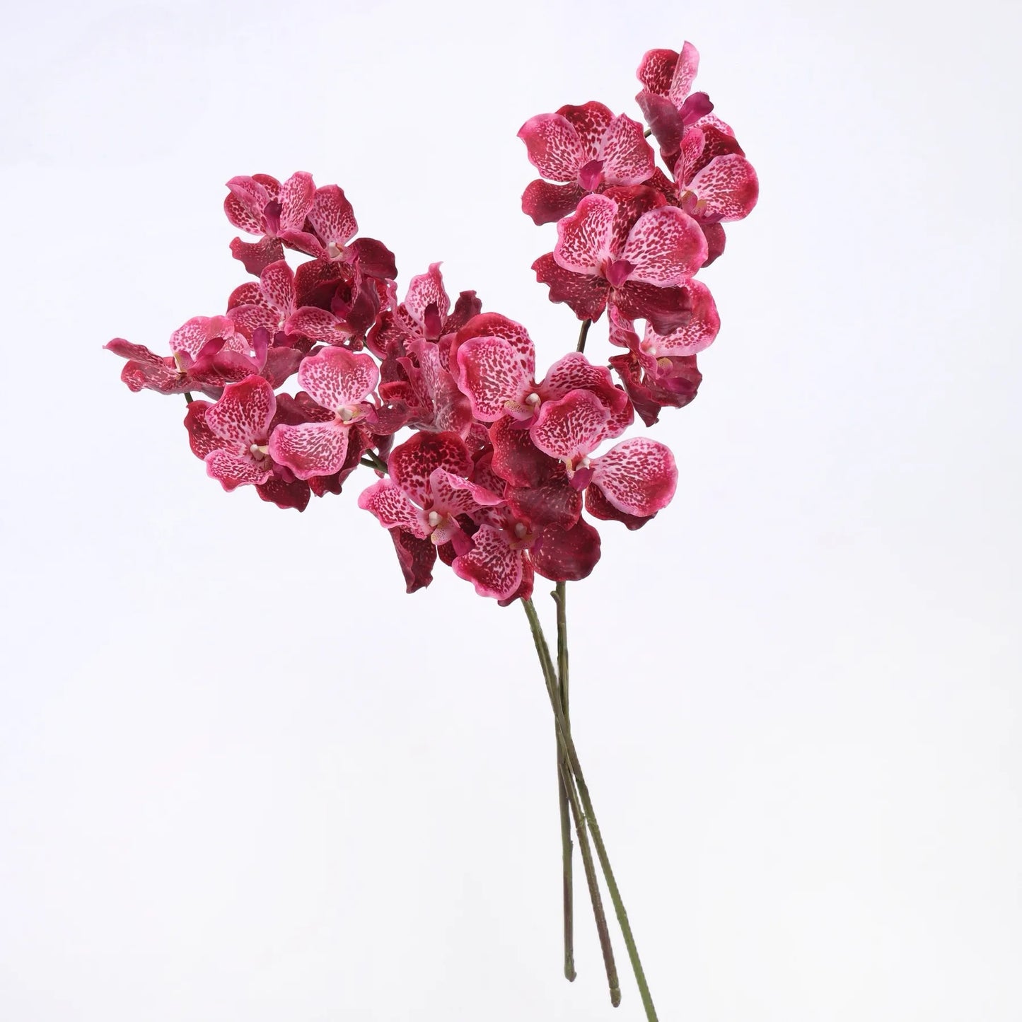 Vanda-Orchidee „Real Touch“ – Rosenrot 81 cm