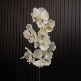 リアルタッチ ヴァンダ オーキッド – ホワイト 32"