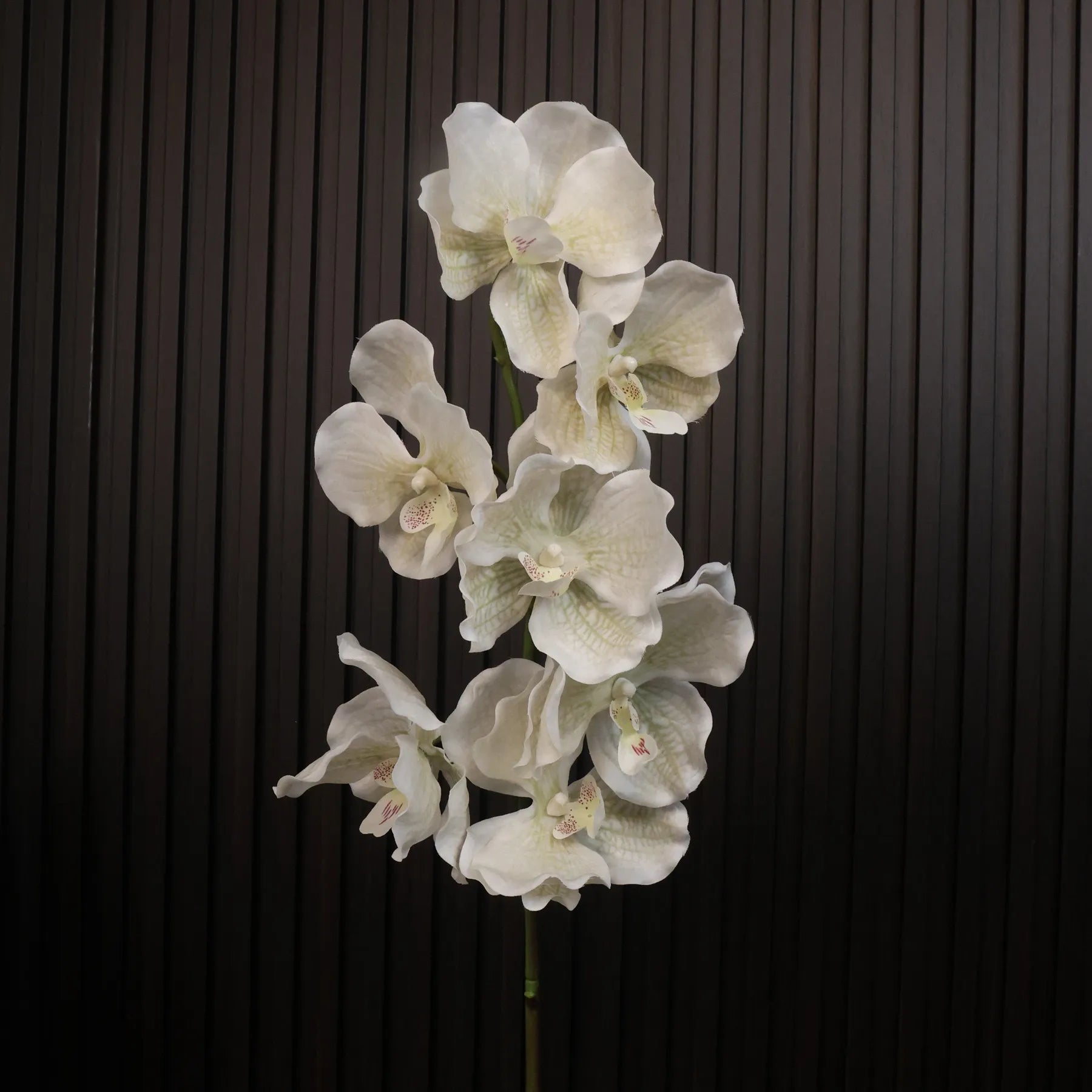 Real Touch Vanda Orchid –White 32"