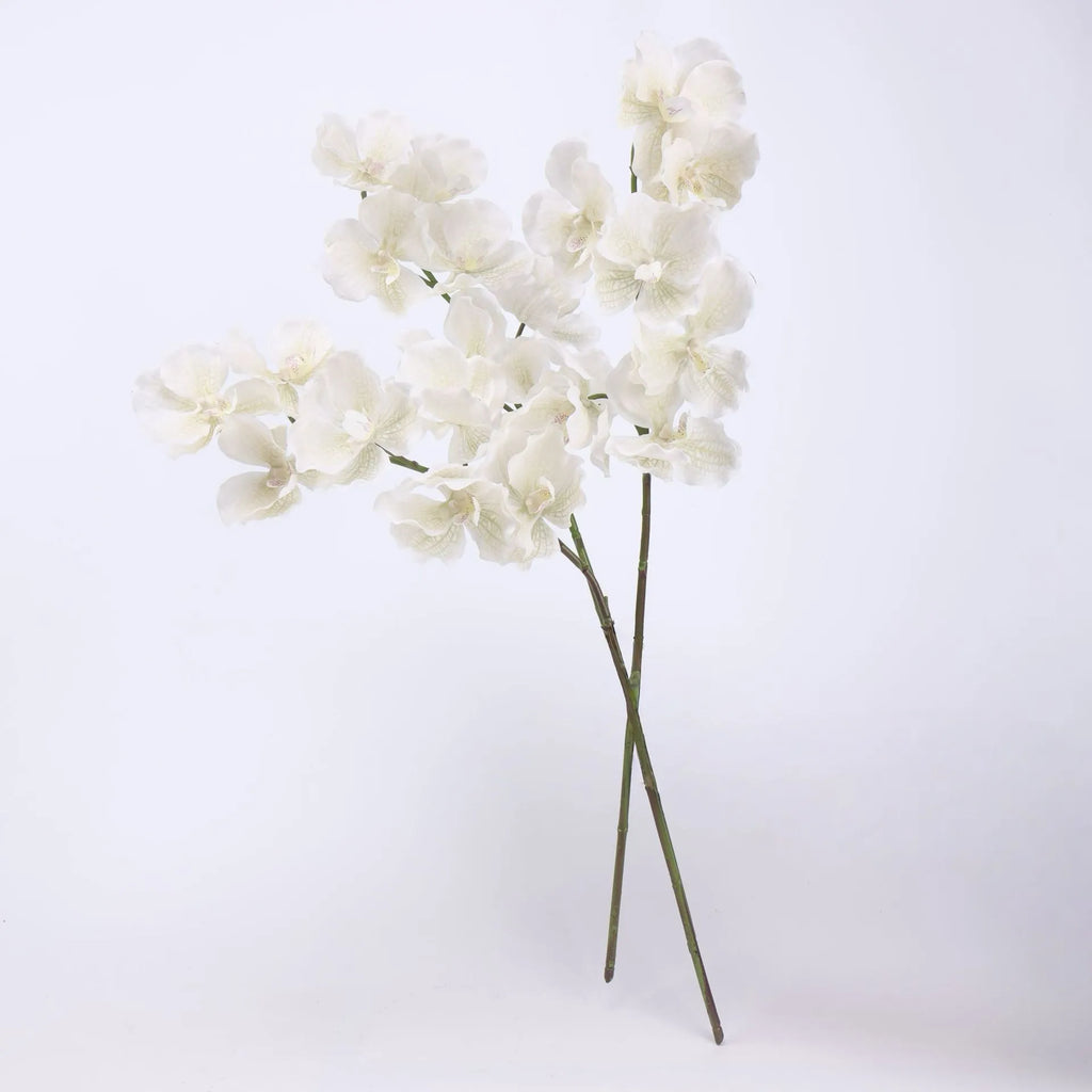 Real Touch Vanda Orchid –White 32"