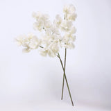 リアルタッチ ヴァンダ オーキッド – ホワイト 32"