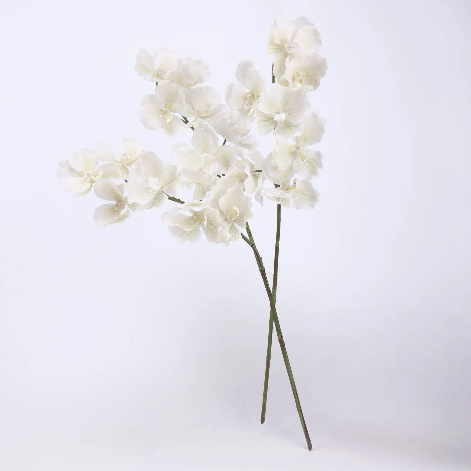 Real Touch Vanda Orchid –White 32"