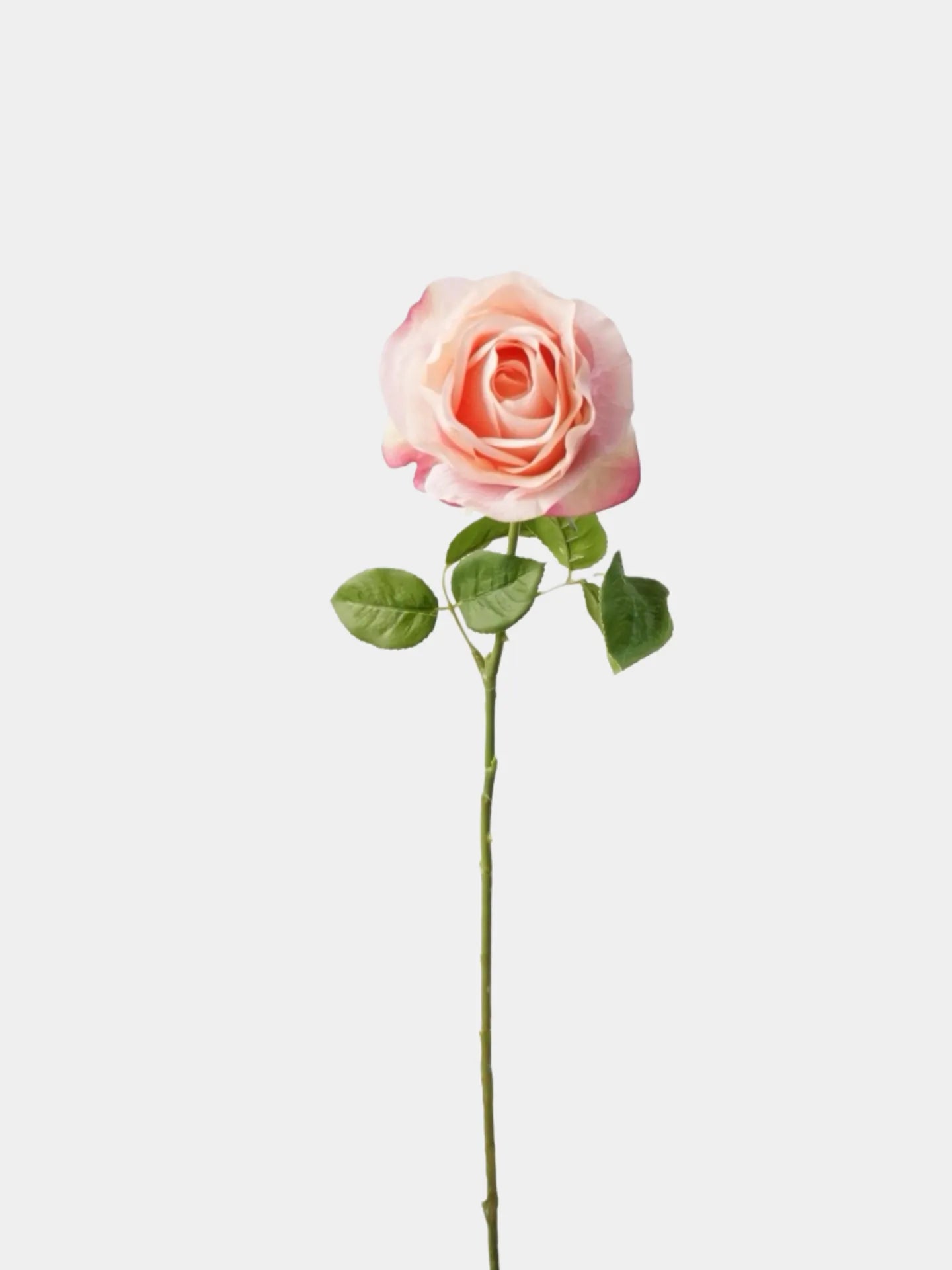 Real Touch Vendela Rose Stem  -26"